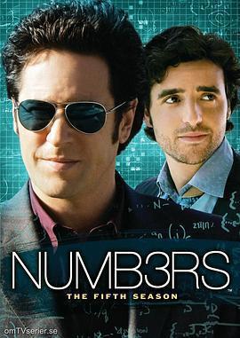 數字追兇 第一季 / Numb3rs Season 1線上看