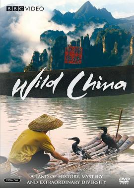 美麗中國 / Wild China線上看