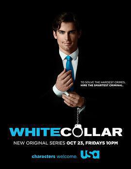 妙警賊探 第一季 / White Collar Season 1線上看