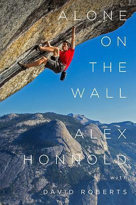 孤身絕壁 / Alone On The Wall線上看