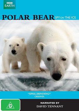 北極熊：冰上偵探 / Polar Bear Spy on the Ice線上看