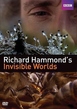 理察·哈蒙德：看不見的世界 / Richard Hammond's Invisible Worlds線上看