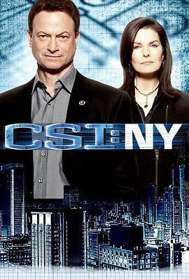 犯罪現場調查：紐約 第七季 / CSI: NY Season 7線上看