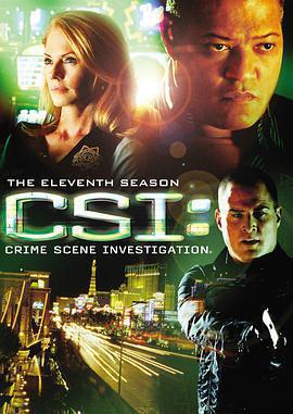 犯罪現場調查 第十一季 / CSI: Crime Scene Investigation Season 11線上看