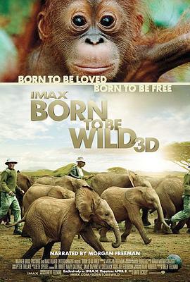 天生狂野 / Born to Be Wild線上看