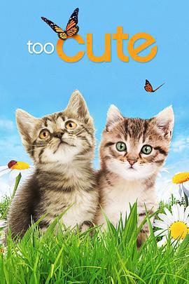 萌寵成長記 第一季 / Too Cute! Season 1線上看