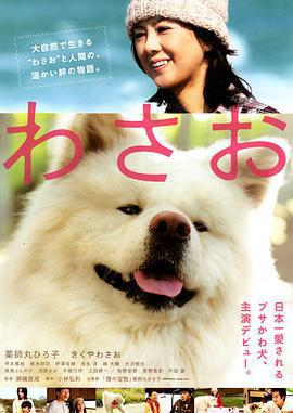 秋田犬蓬夫 / わさお線上看