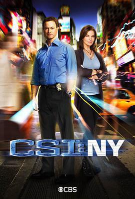 犯罪現場調查：紐約 第八季 / CSI: NY Season 8線上看