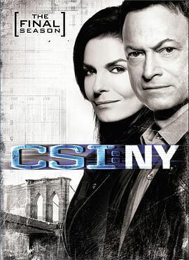 犯罪現場調查：紐約 第九季 / CSI: NY Season 9線上看