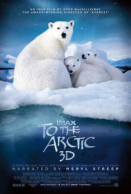 北極 / To the Arctic 3D線上看