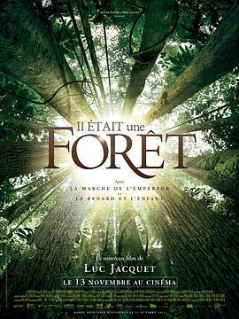 從前有座森林 / Il était une Forêt線上看