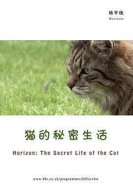 BBC地平線：貓的祕密生活 / Horizon: The Secret Life of the Cat線上看