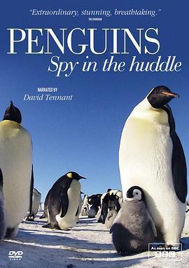 企鵝羣里有特務 / Penguins: Spy in the Huddle線上看