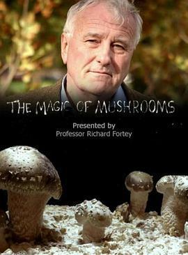 魔力蘑菇 / The Magic of Mushrooms線上看