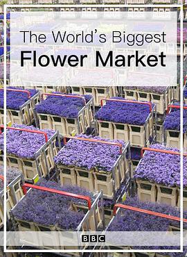 世界上最大的鮮花市場 / The World's Biggest Flower Market線上看