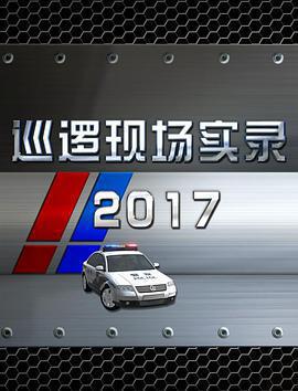 巡邏現場實錄2017線上看