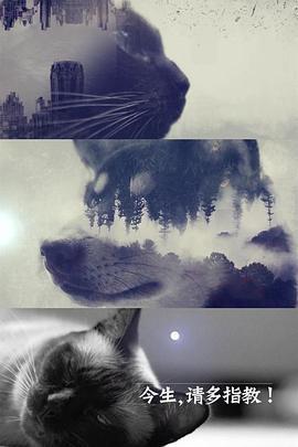 今生，請多指教線上看