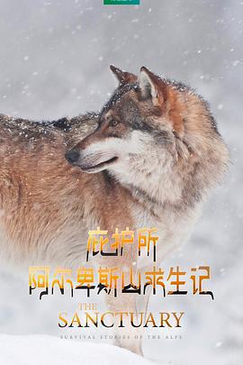 庇護所：阿爾卑斯山求生記 / Le plus beau pays du monde 3 : Le sanctuaire線上看