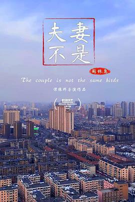 夫妻不是同林鳥線上看