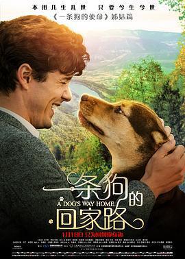 一條狗的回家路 / A Dog's Way Home線上看