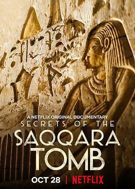 塞加拉陵墓揭祕 / Secrets of the Saqqara Tomb線上看