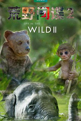 荒野間諜 第二季 / Spy in the Wild Season 2線上看