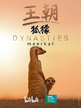 王朝：狐獴特輯 / Dynasties: Meerkat Special線上看