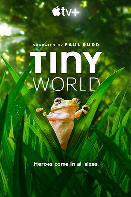 小小世界 第二季 / Tiny World Season 2線上看