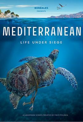 地中海 / Mediterranean: Life Under Siege線上看