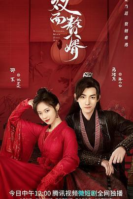 雙面贅婿線上看