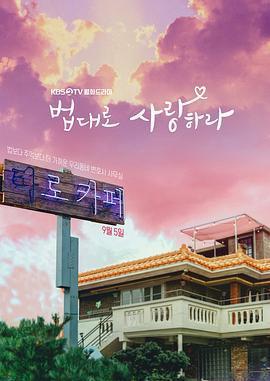 依法相愛 / 법대로 사랑하라線上看