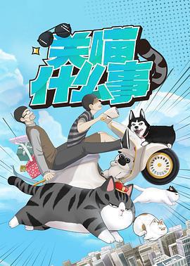 關喵什麼事線上看