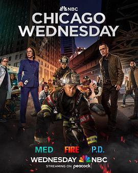 芝加哥急救 第十季 / Chicago Med Season 10線上看