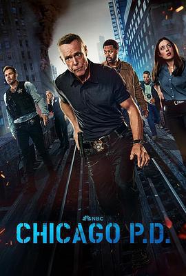 芝加哥警署 第十二季 / Chicago P.D. Season 12線上看