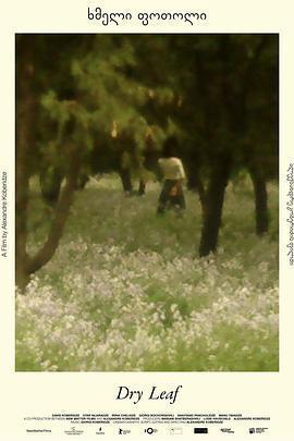 落葉球 / ხმელი ფოთოლი線上看