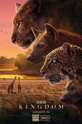 動物王國 / Kingdom線上看