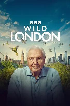 狂野倫敦 / Wild London線上看