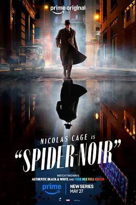暗影蜘蛛俠 / Spider-Noir線上看