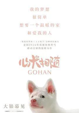 心犬相隨 / โกฮัง..หัวใจโกโฮม線上看