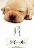 導盲犬小Q / クイール 線上看