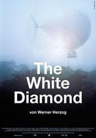 白鑽石 / The White Diamond 線上看