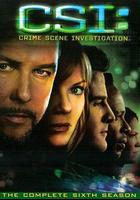 犯罪現場調查 第六季 線上看