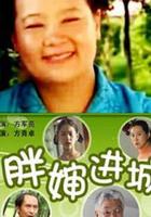 胖嬸進城 線上看