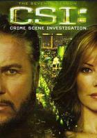 犯罪現場調查 第七季 線上看