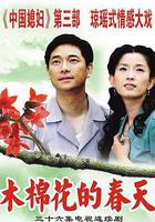 木棉花的春天 線上看