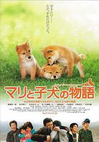 愛犬的奇蹟 / マリと子犬の物語 線上看