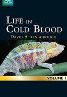 冷血生命(Life In Cold Blood) 線上看