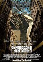 紐約提喻法 / Synecdoche, New York 線上看