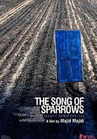 麻雀之歌 / آواز گنجشک ها 線上看