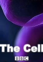 細胞 線上看